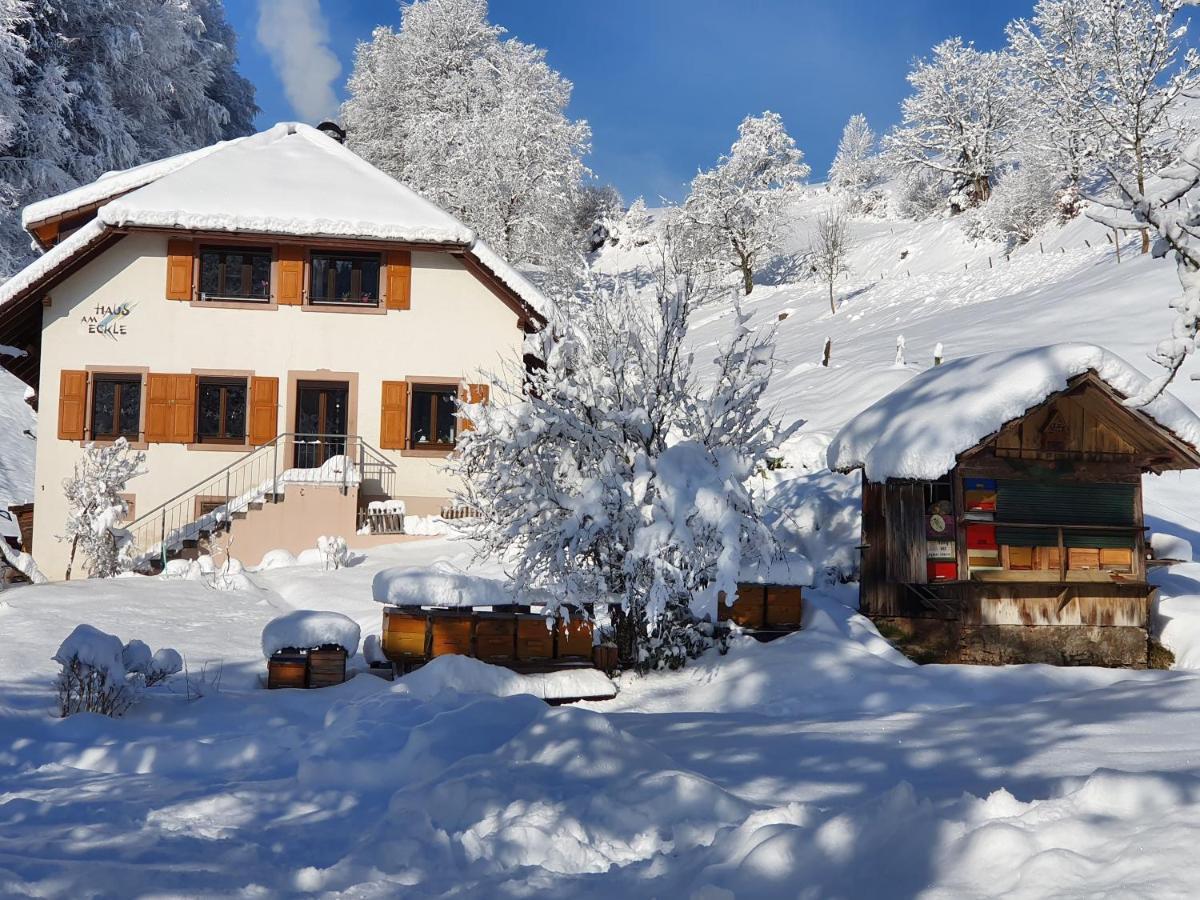 Haus Am Eckle Daire Kleines Wiesental Dış mekan fotoğraf