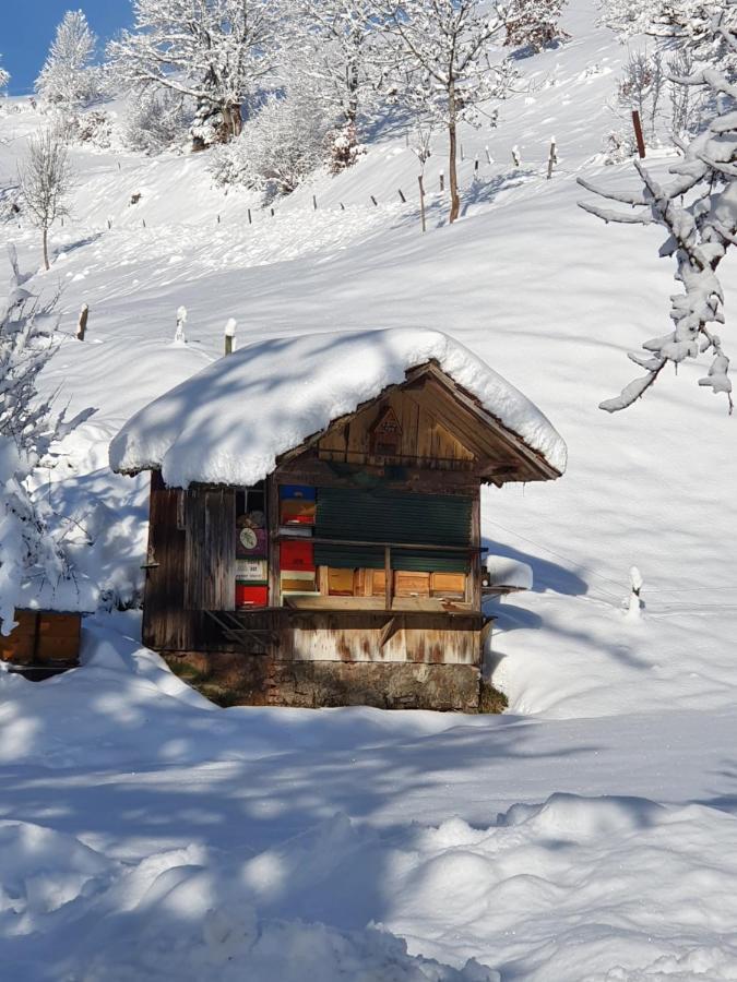 Haus Am Eckle Daire Kleines Wiesental Dış mekan fotoğraf