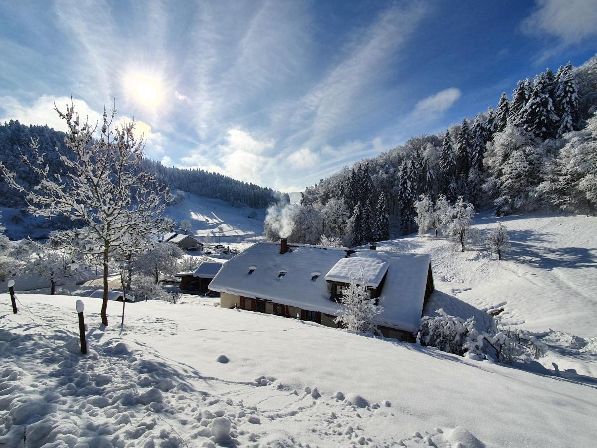 Haus Am Eckle Daire Kleines Wiesental Dış mekan fotoğraf