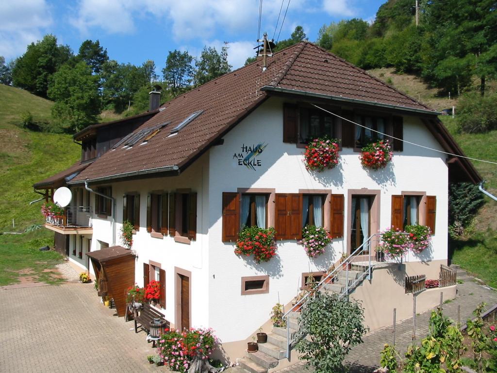 Haus Am Eckle Daire Kleines Wiesental Dış mekan fotoğraf